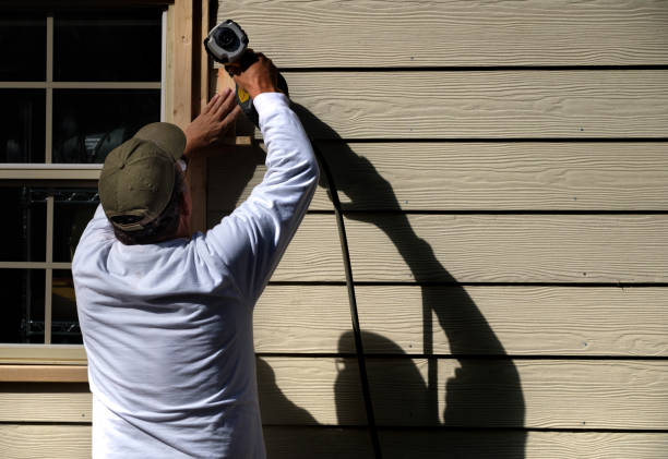 Best Steel Siding Installation  in Bemidji, MN