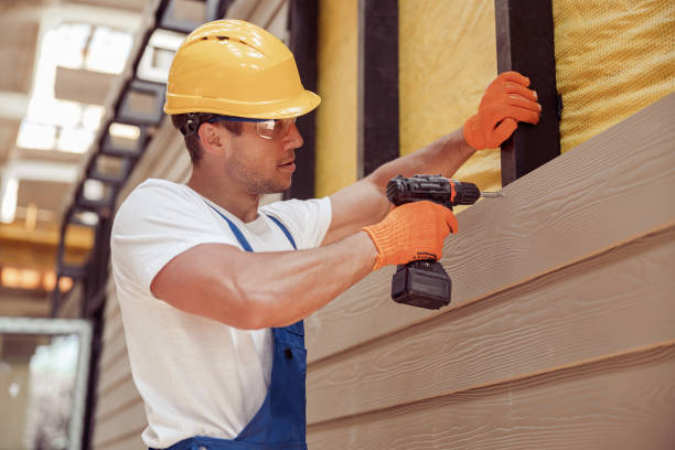 Affordable Siding Repair and Maintenance Services in Bemidji, MN